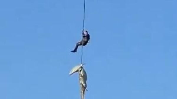  - سبوتنيك عربي