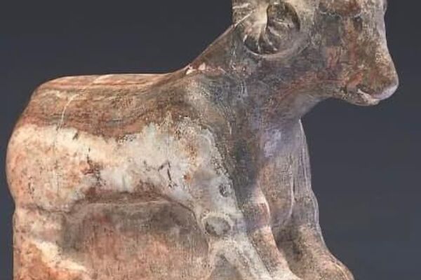 جانب من بعض الآثار اليمنية المنهوبة والتي يتم عرضها في مزادات غربية وأمريكية - سبوتنيك عربي
