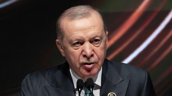 الرئيس التركي، رجب طيب أردوغان - سبوتنيك عربي