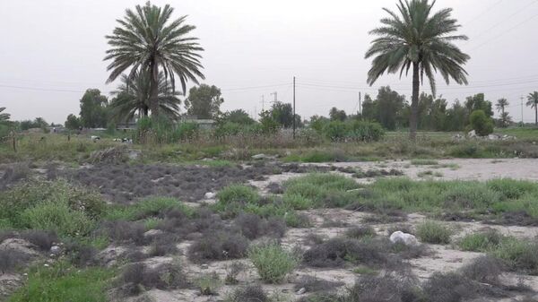  - سبوتنيك عربي