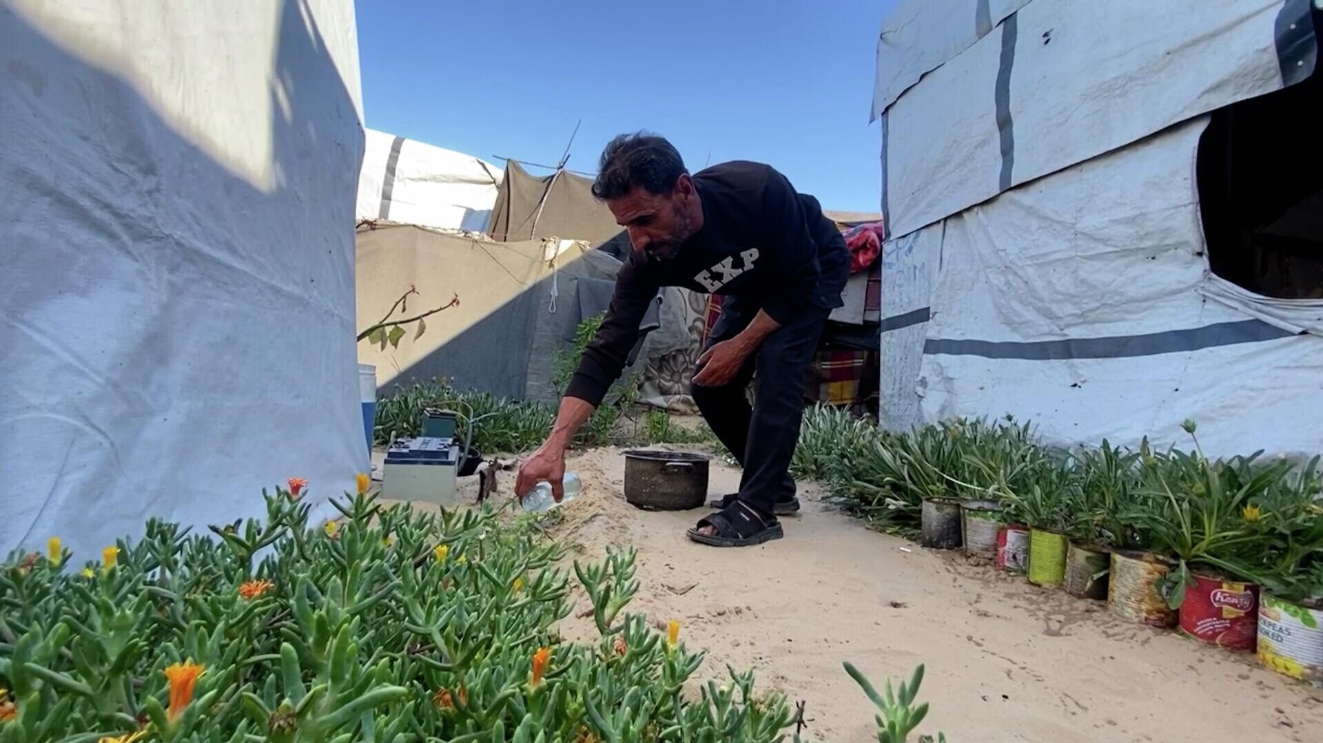 الزراعة حول الخيام سبيل النازحين في غزة لتوفير بعض الطعام في ظل استمرار الحصار الزراعة حول الخيام سبيل النازحين في غزة لتوفير بعض الطعام في ظل استمرار الحصار - سبوتنيك عربي, 1920, 21.05.2026