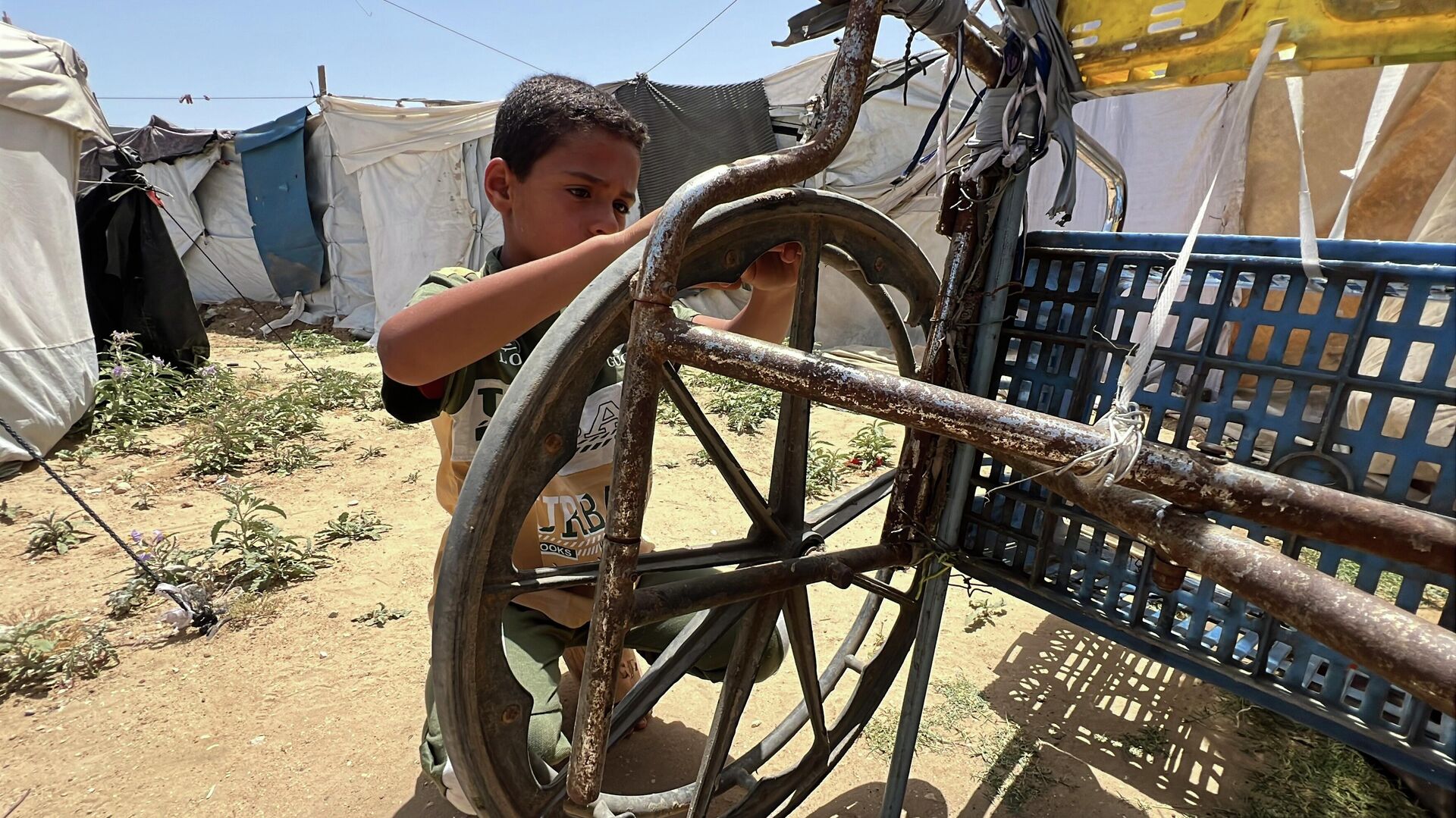 طفل فلسطيني يعيل أسرته بعربة نقل صنعها بنفسه في غزة طفل فلسطيني يعيل أسرته بعربة نقل صنعها بنفسه في غزة - سبوتنيك عربي, 1920, 22.05.2026
