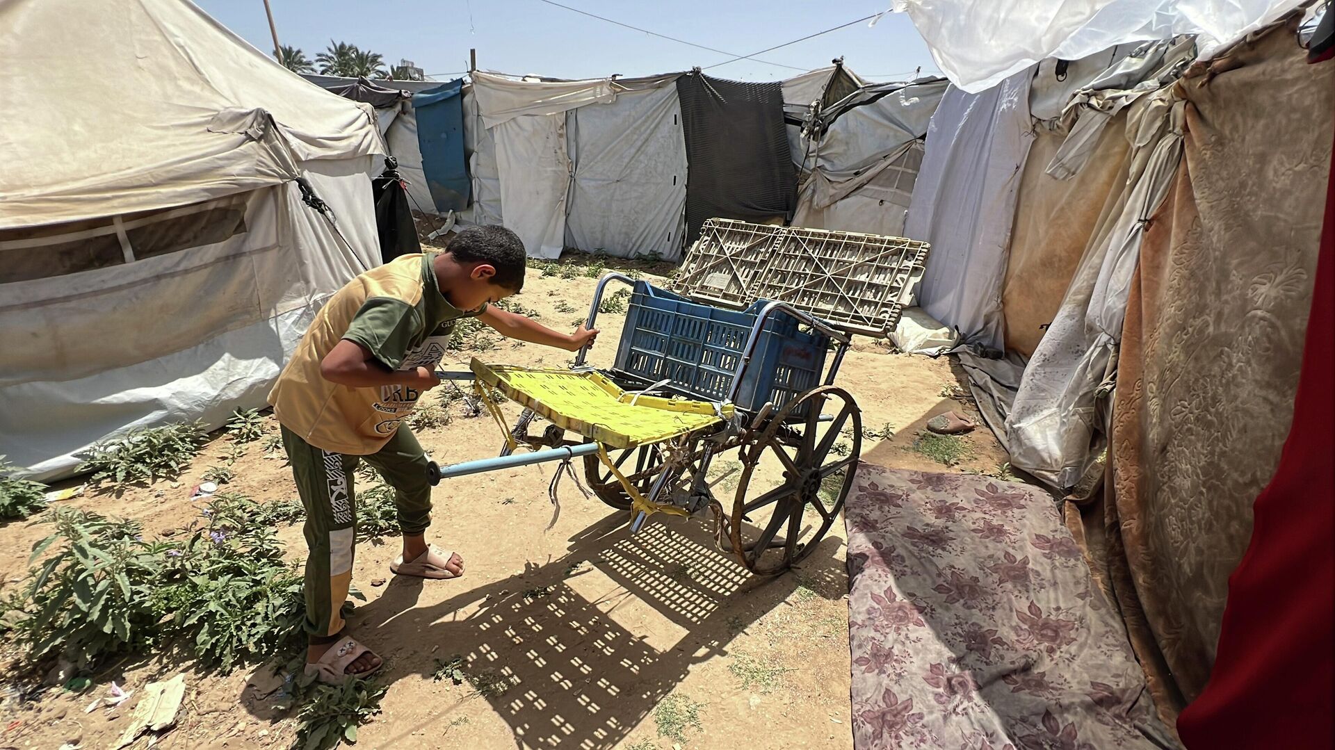 طفل فلسطيني يعيل أسرته بعربة نقل صنعها بنفسه في غزة طفل فلسطيني يعيل أسرته بعربة نقل صنعها بنفسه في غزة - سبوتنيك عربي, 1920, 22.05.2026