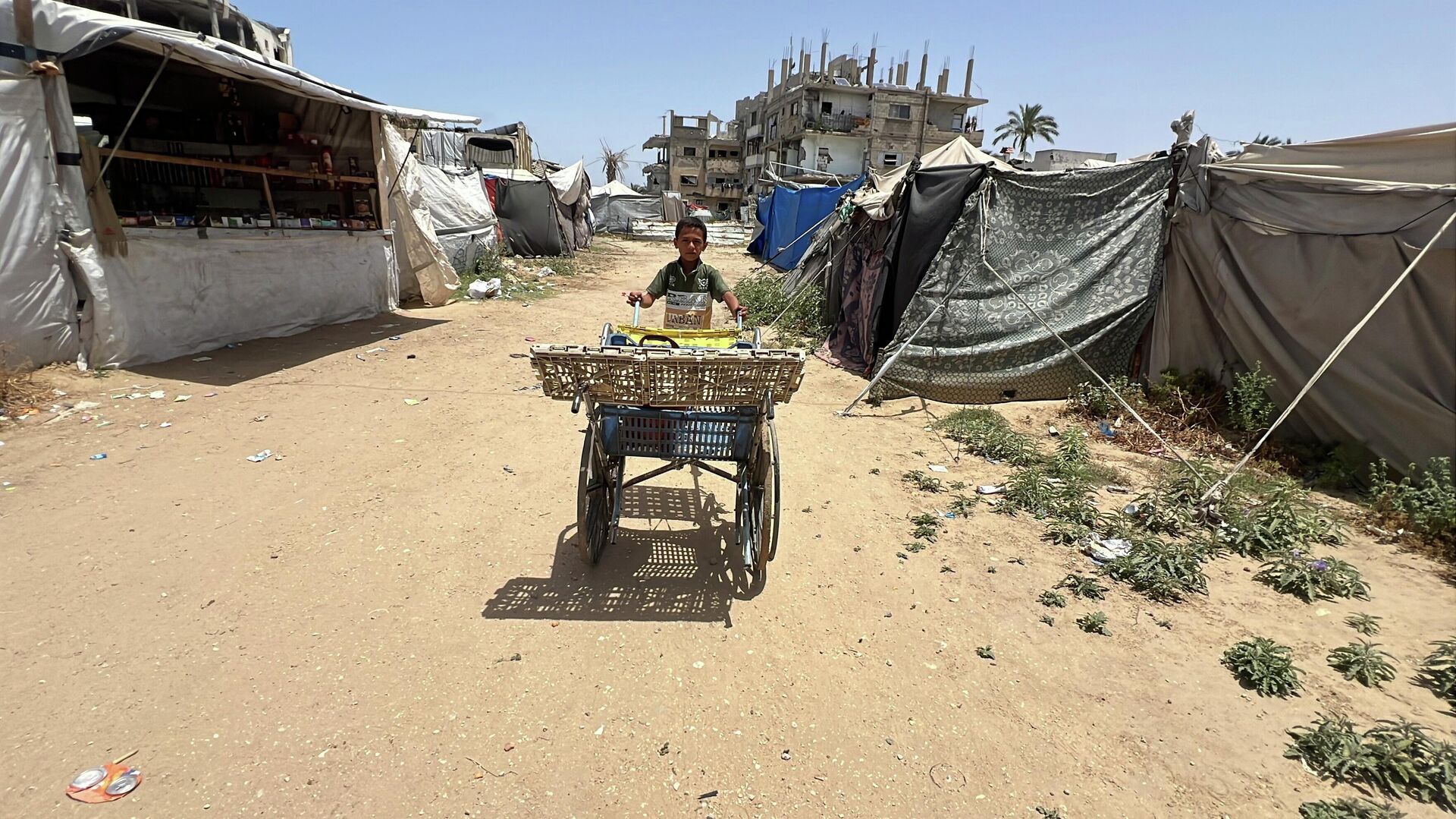 طفل فلسطيني يعيل أسرته بعربة نقل صنعها بنفسه في غزة طفل فلسطيني يعيل أسرته بعربة نقل صنعها بنفسه في غزة - سبوتنيك عربي, 1920, 22.05.2026
