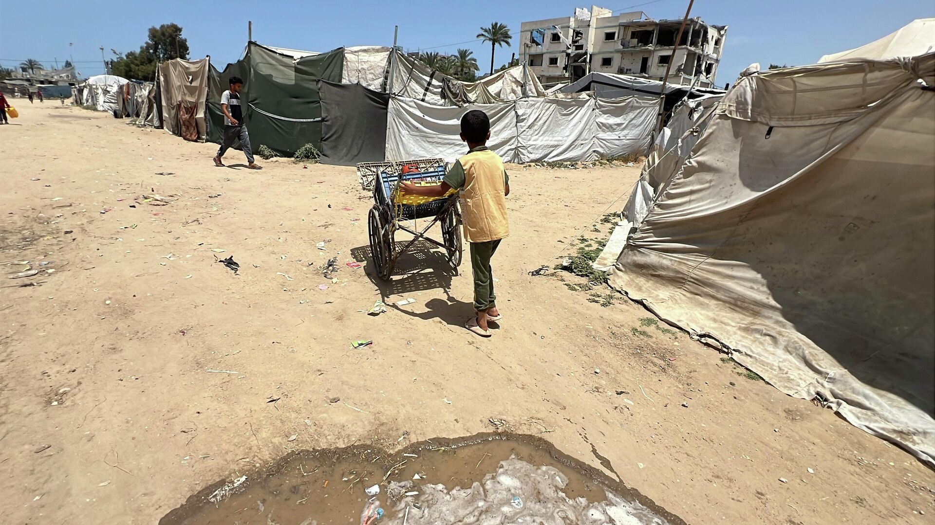 طفل فلسطيني يعيل أسرته بعربة نقل صنعها بنفسه في غزة طفل فلسطيني يعيل أسرته بعربة نقل صنعها بنفسه في غزة - سبوتنيك عربي, 1920, 22.05.2026