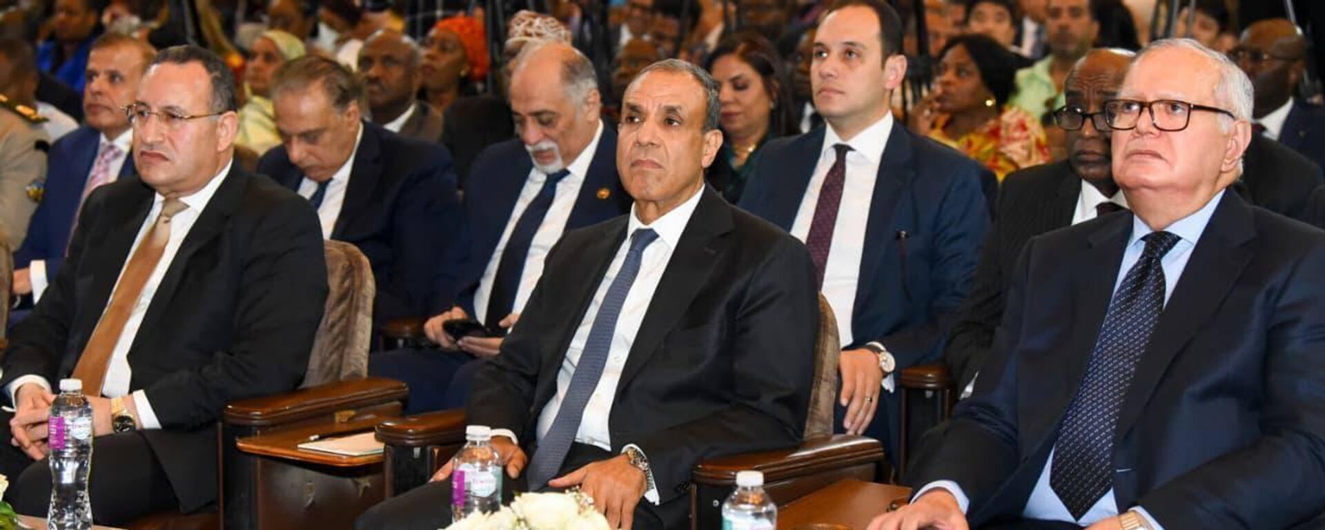وزير الخارجية المصري بدر عبد العاطي في احتفالية بمناسبة “يوم أفريقيا” بمقر جامعة القاهرة، 23 مايو 2026  - سبوتنيك عربي, 1920, 23.05.2026