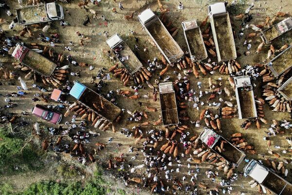 صورة جوية تظهر يمنيين وهم يتجمعون في سوق المواشي في وادي الذباب، غربي تعز،  قبيل عيد الأضحى المبارك. - سبوتنيك عربي