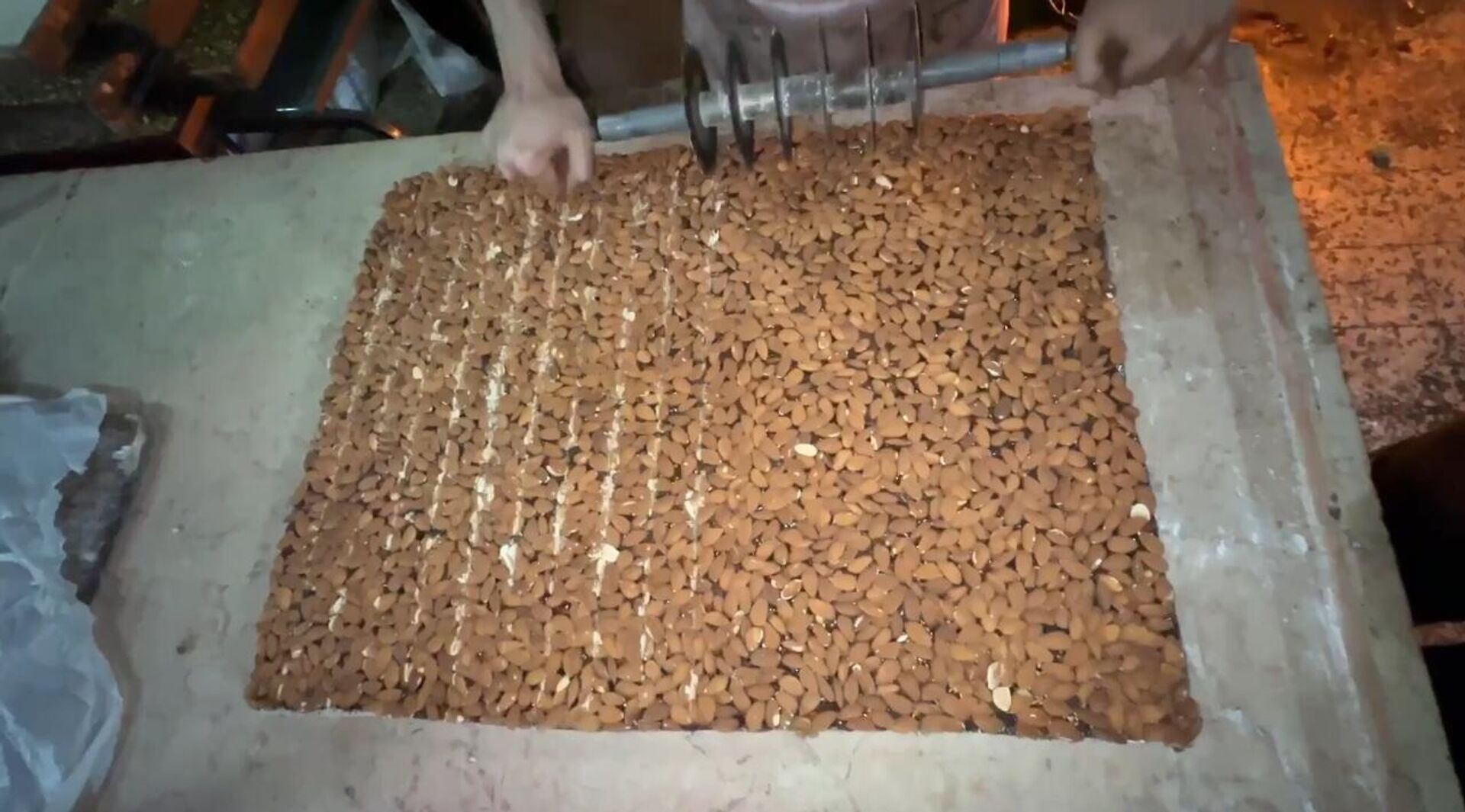 الحلقوم يخفف مرارة الحرب في غزة ويكسو العيد بفرحة متبقية الحلقوم يخفف مرارة الحرب في غزة ويكسو العيد بفرحة متبقية - سبوتنيك عربي, 1920, 29.05.2026