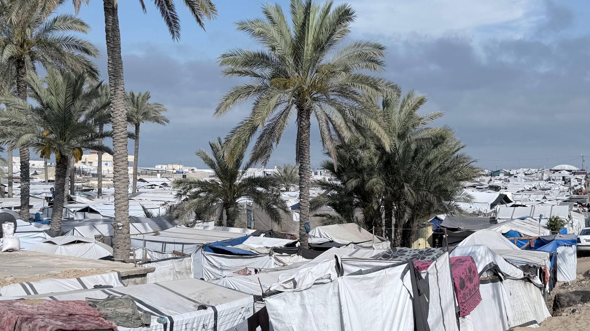 شح المياه يهدد حياة النازحين جنوب قطاع غزة
 - سبوتنيك عربي, 1920, 05.06.2026