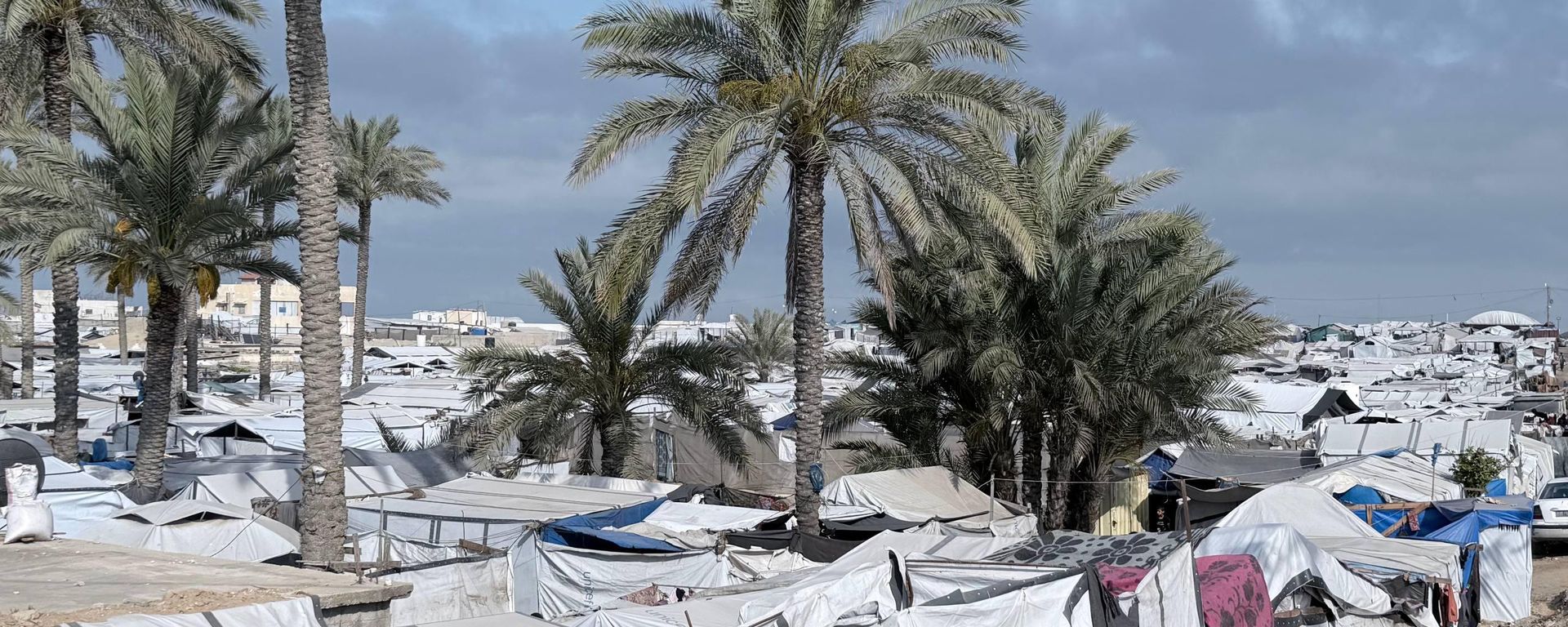 شح المياه يهدد حياة النازحين جنوب قطاع غزة
شح المياه يهدد حياة النازحين جنوب قطاع غزة
- سبوتنيك عربي, 1920, 24.07.2026
