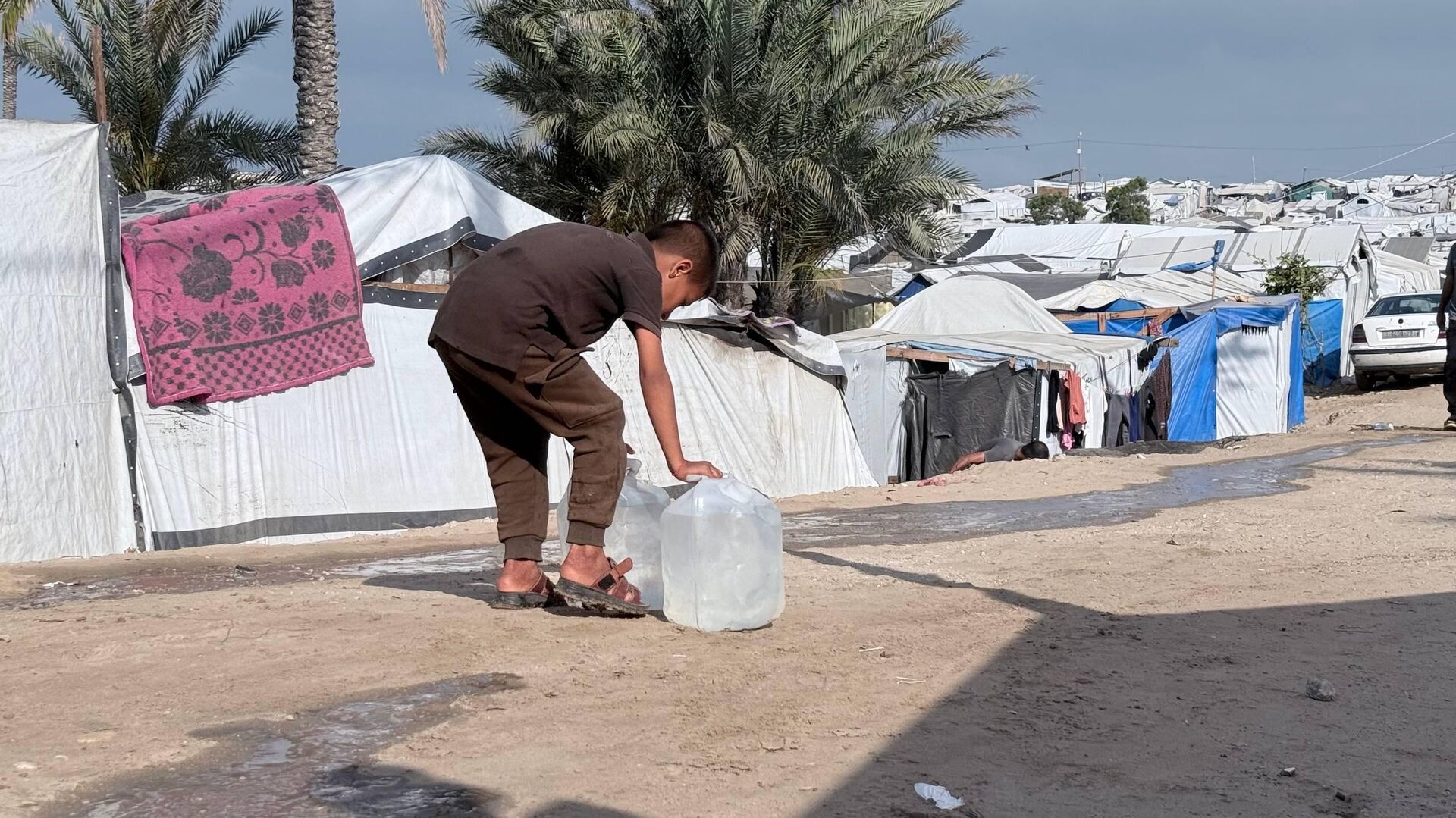 شح المياه يهدد حياة النازحين جنوب قطاع غزة
 - سبوتنيك عربي, 1920, 05.06.2026