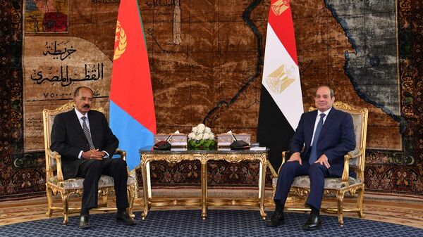 الرئيس المصري عبد الفتاح السيسي يستقبل الرئيس الإريتري أسياس أفورقي - سبوتنيك عربي