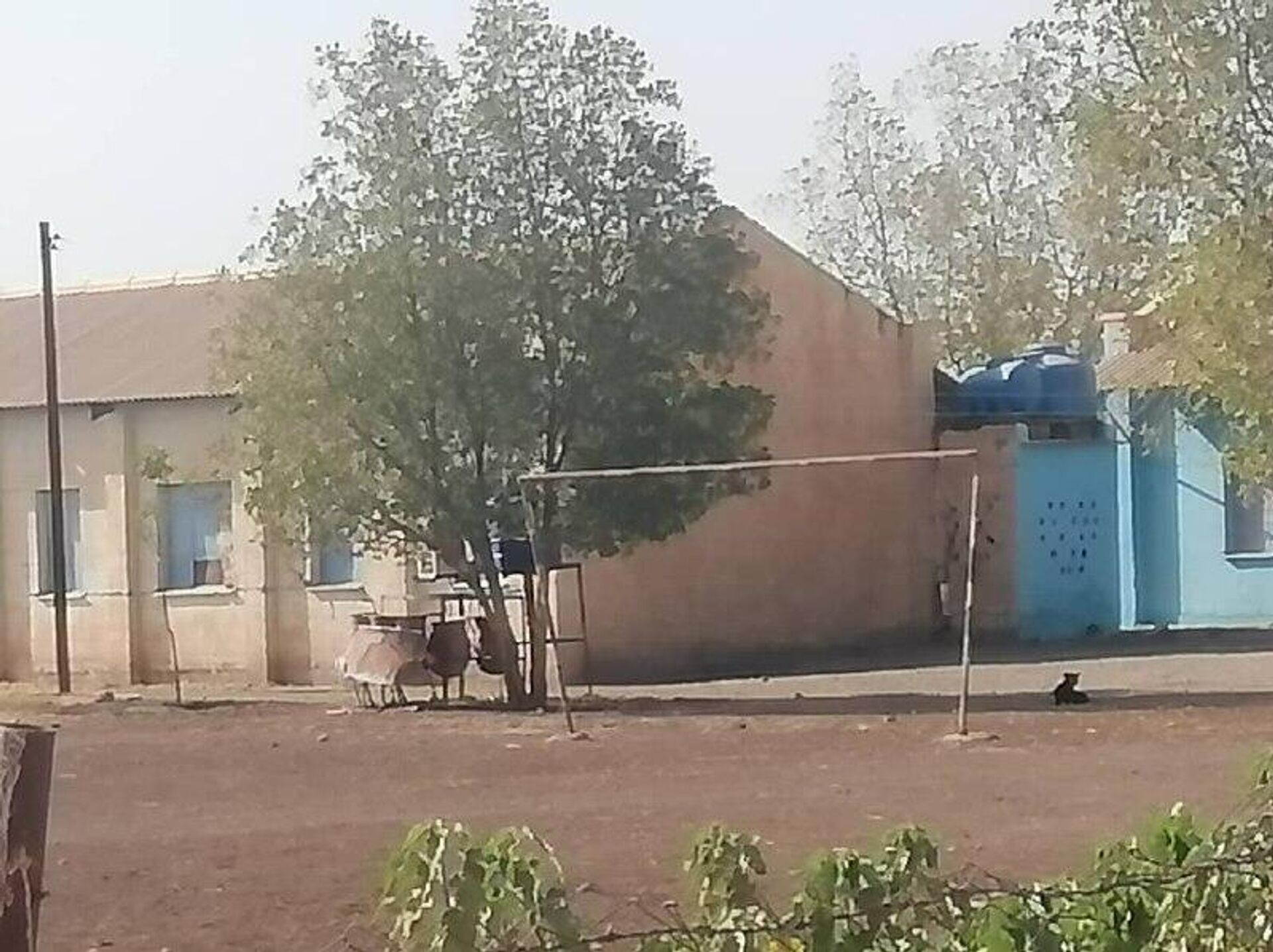 إضراب للمعلمين في السودان - سبوتنيك عربي, 1920, 17.06.2026