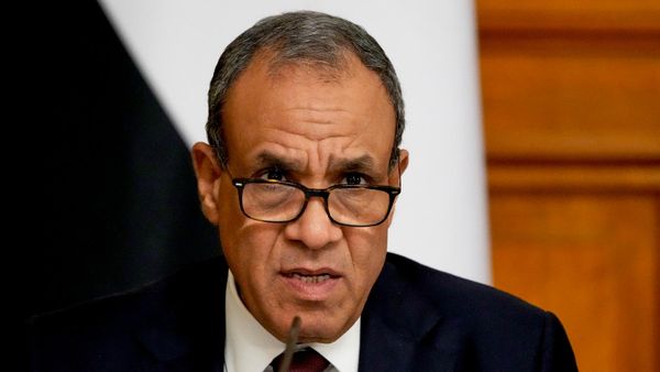 وزير الخارجية المصري، بدر عبد العاطي - سبوتنيك عربي