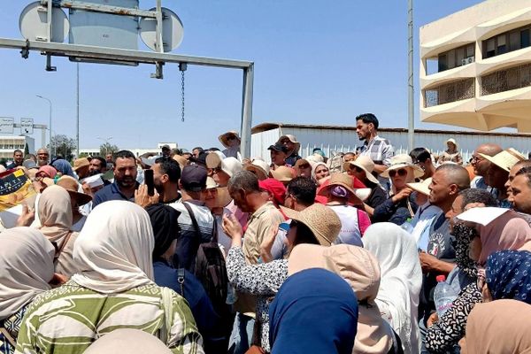 تونس.. مئات العاطلين عن العمل من أصحاب الشهادات العليا يحتجون - سبوتنيك عربي