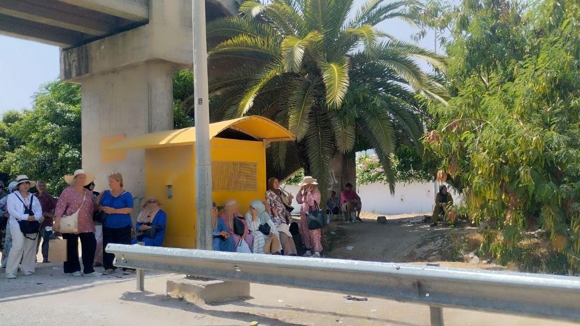 إضراب شامل للنقل العمومي غير المنتظم في تونس.. شلل في التنقل ومطالب مهنية عالقة إضراب شامل للنقل العمومي غير المنتظم في تونس.. شلل في التنقل ومطالب مهنية عالقة - سبوتنيك عربي, 1920, 13.07.2026