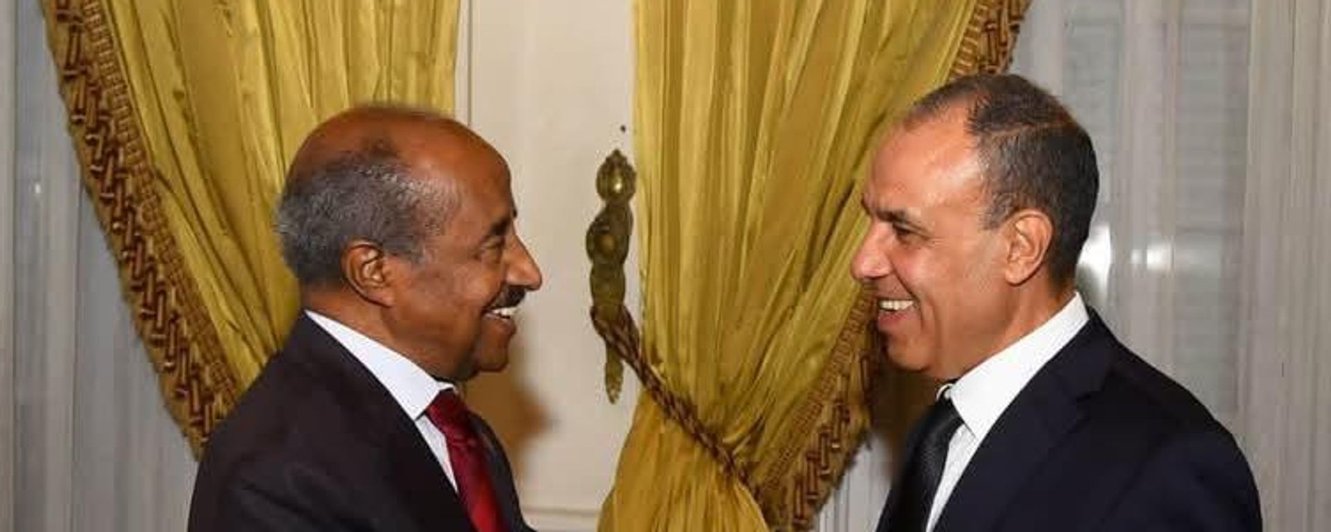 وزير الخارجية المصري، بدر عبد العاطي يستقبل وزير خارجية إريتريا عثمان صالح في القاهرة - سبوتنيك عربي, 1920, 19.07.2026