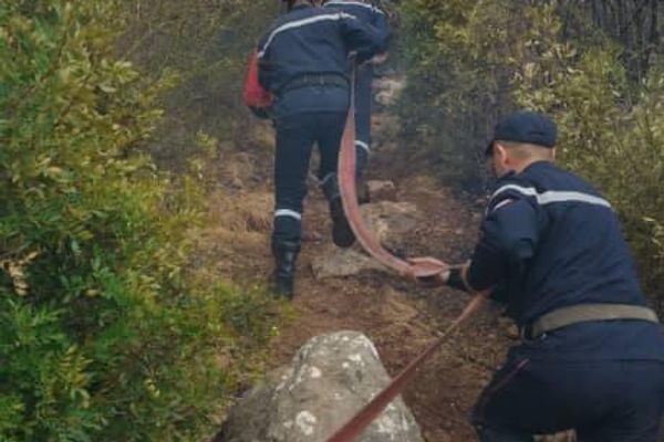 الجزائر تعيش موجة حر قياسية تنذر بتداعيات صحية واقتصادية وبيئية الجزائر تعيش موجة حر قياسية تنذر بتداعيات صحية واقتصادية وبيئية - سبوتنيك عربي