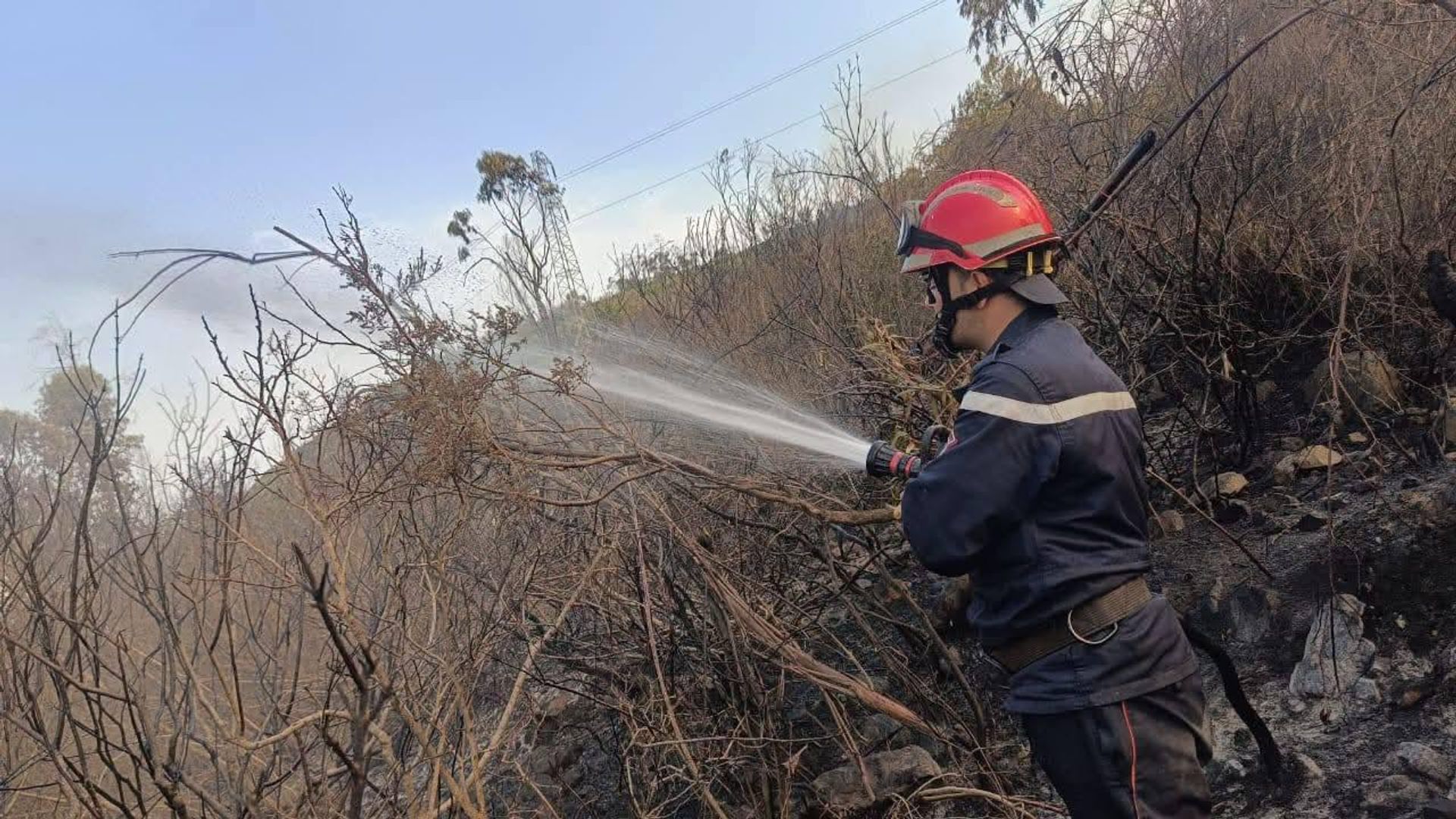 الجزائر تعيش موجة حر قياسية تنذر بتداعيات صحية واقتصادية وبيئية الجزائر تعيش موجة حر قياسية تنذر بتداعيات صحية واقتصادية وبيئية - سبوتنيك عربي, 1920, 19.07.2026