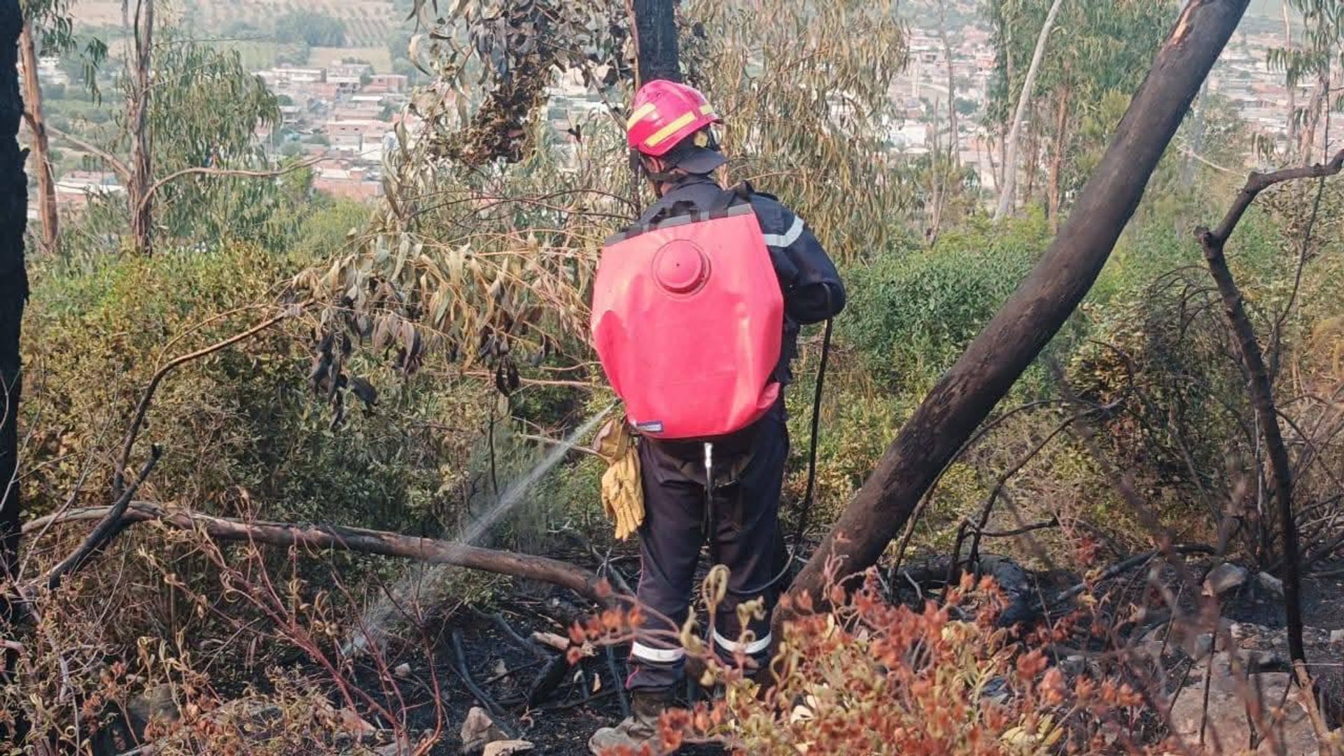 الجزائر تعيش موجة حر قياسية تنذر بتداعيات صحية واقتصادية وبيئية الجزائر تعيش موجة حر قياسية تنذر بتداعيات صحية واقتصادية وبيئية - سبوتنيك عربي, 1920, 19.07.2026
