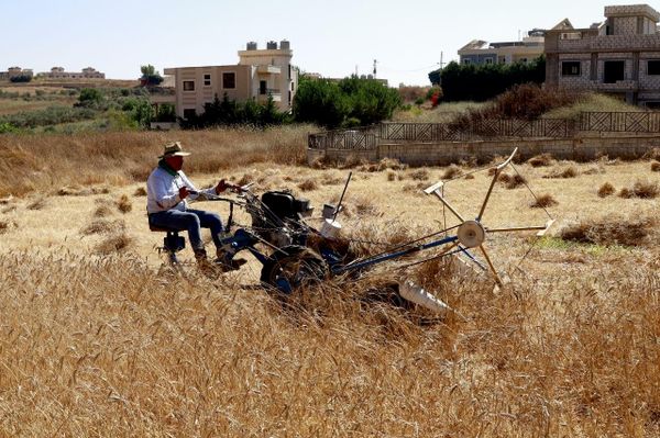 مزارعو جنوبي لبنان يحصدون القمح وسط مخلفات الحرب وغياب الدعم. - سبوتنيك عربي