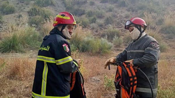 الجزائر تطوي صفحة الحرائق تدريجيا.. انحسار النيران وتحسن مرتقب للطقس - سبوتنيك عربي