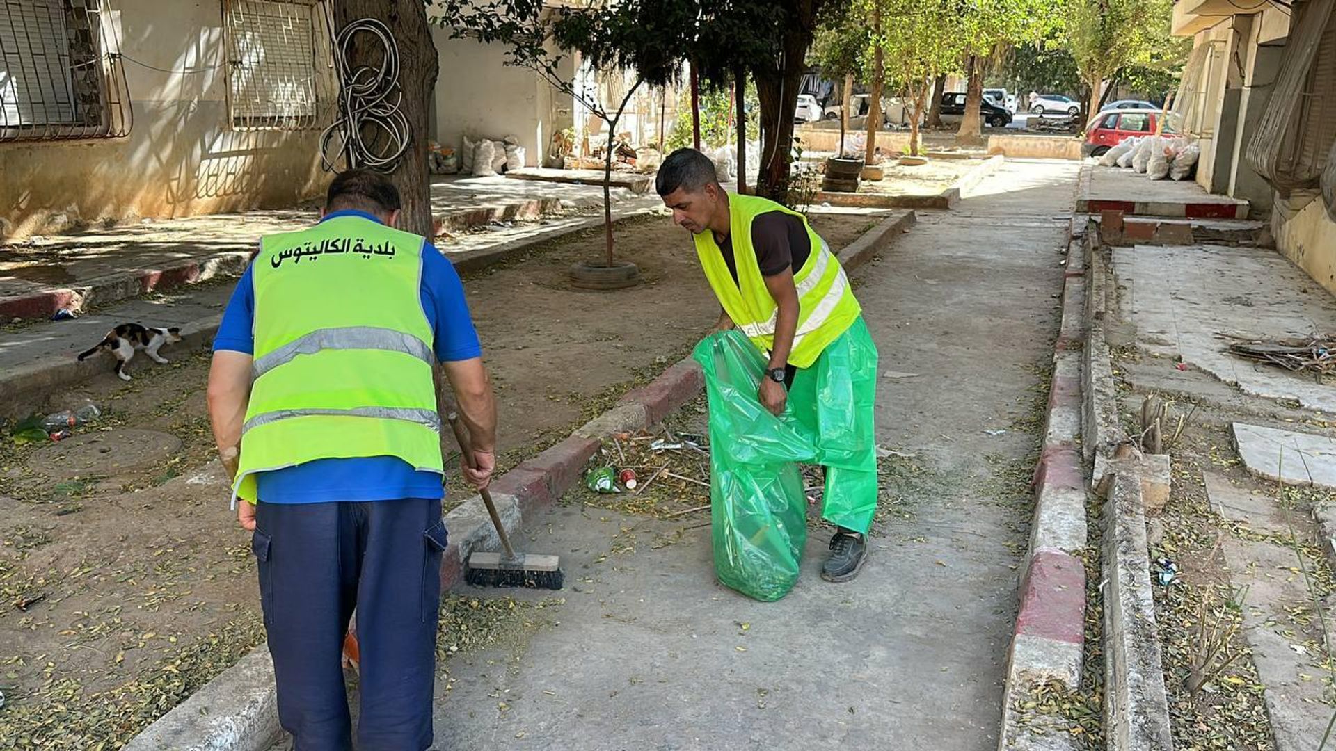 من الشارع إلى المواطنة.. هل تعيد حملات تنظيف الجزائر رسم صورة العاصمة؟ أغسطس 2026
من الشارع إلى المواطنة.. هل تعيد حملات تنظيف الجزائر رسم صورة العاصمة؟ أغسطس 2026
- سبوتنيك عربي, 1920, 09.08.2026