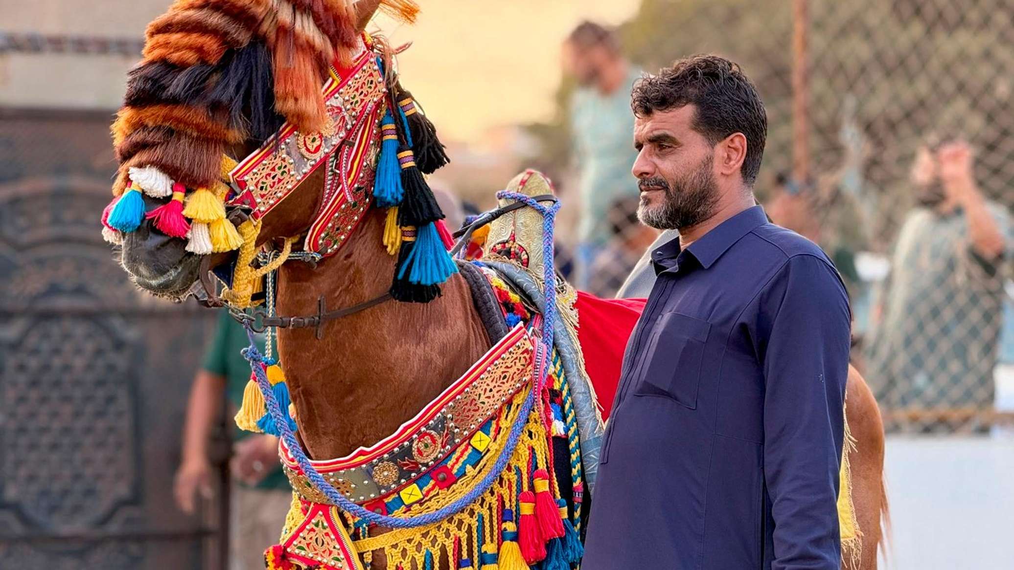 من صهوة الجواد إلى منصة التتويج... منطقة البطنان في ليبيا تختار أجمل حصان بربري