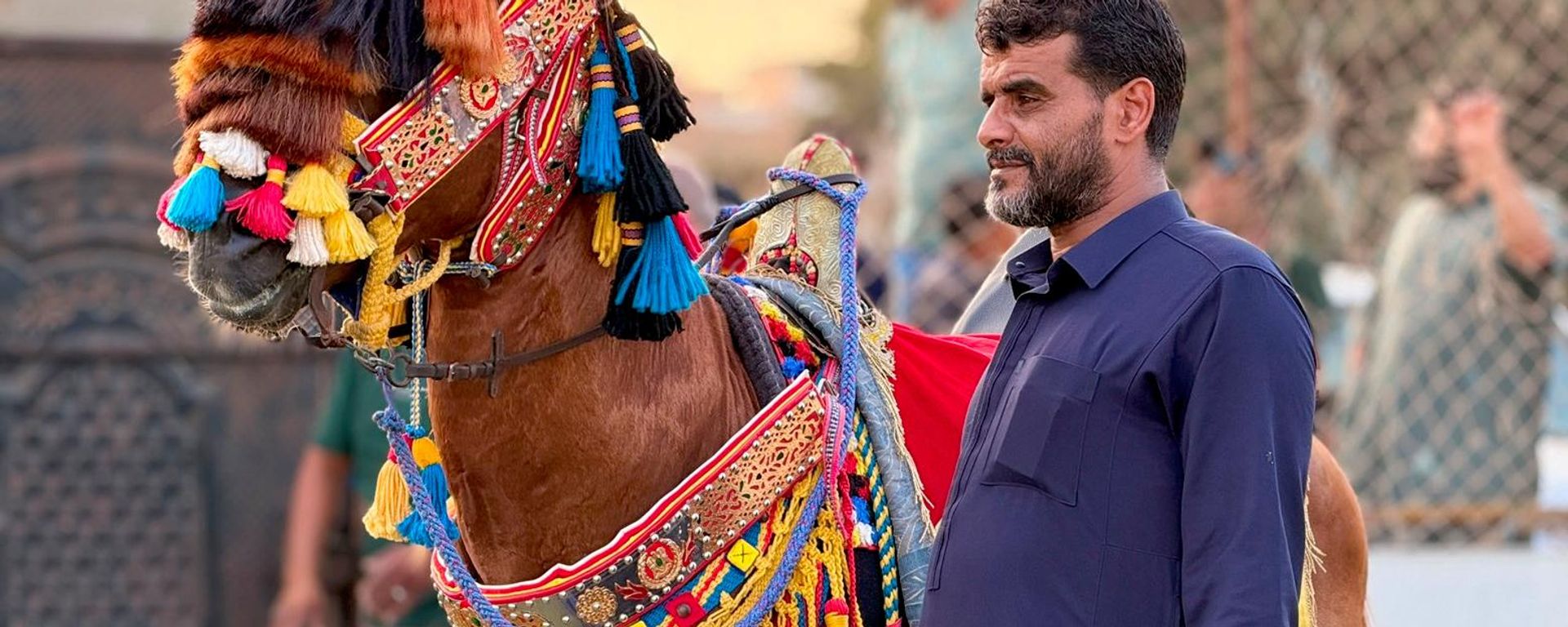 مسابقة لاختيار أجمل حصان بربري في منطقة البطنان شرقي ليبيا - سبوتنيك عربي, 1920, 15.08.2026