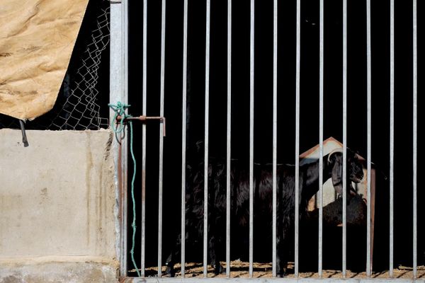 الجيش الإسرائيلي يحاصر منزل عائلة فلسطينية جنوبي الضفة ويحرمها من الوصول إلى أبسط حقوقها  - سبوتنيك عربي