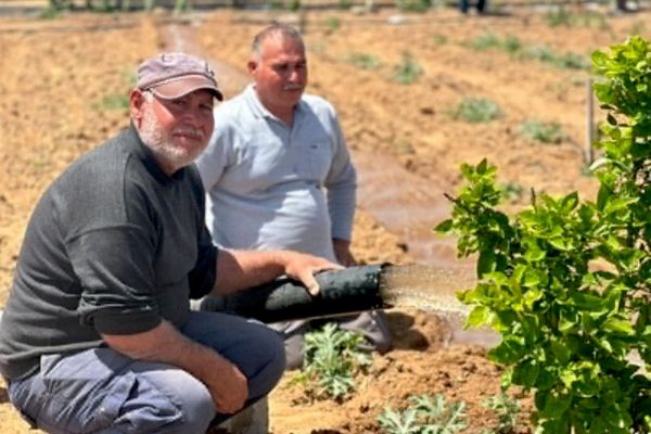 مبادرة تونسية لإعادة تشجير قطاع غزة وتعزيز أمنه الغذائي - سبوتنيك عربي