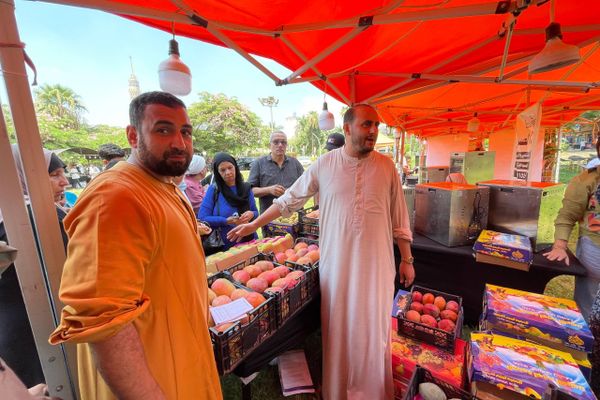 سبوتنيك في جولة بمهرجان المانجو المصري سبوتنيك في جولة بمهرجان المانجو المصري - سبوتنيك عربي