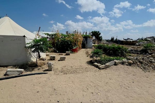 فلسطيني يحوّل ركام الحرب إلى بستان أشجار وورود تنبت مكان الأنقاض    - سبوتنيك عربي