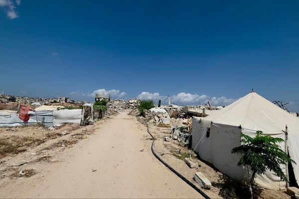 فلسطيني يحوّل ركام الحرب إلى بستان أشجار وورود تنبت مكان الأنقاض    - سبوتنيك عربي