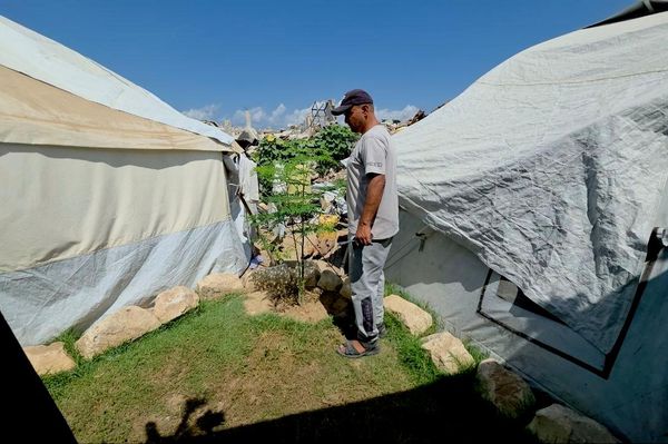 فلسطيني يحوّل ركام الحرب إلى بستان أشجار وورود تنبت مكان الأنقاض    - سبوتنيك عربي