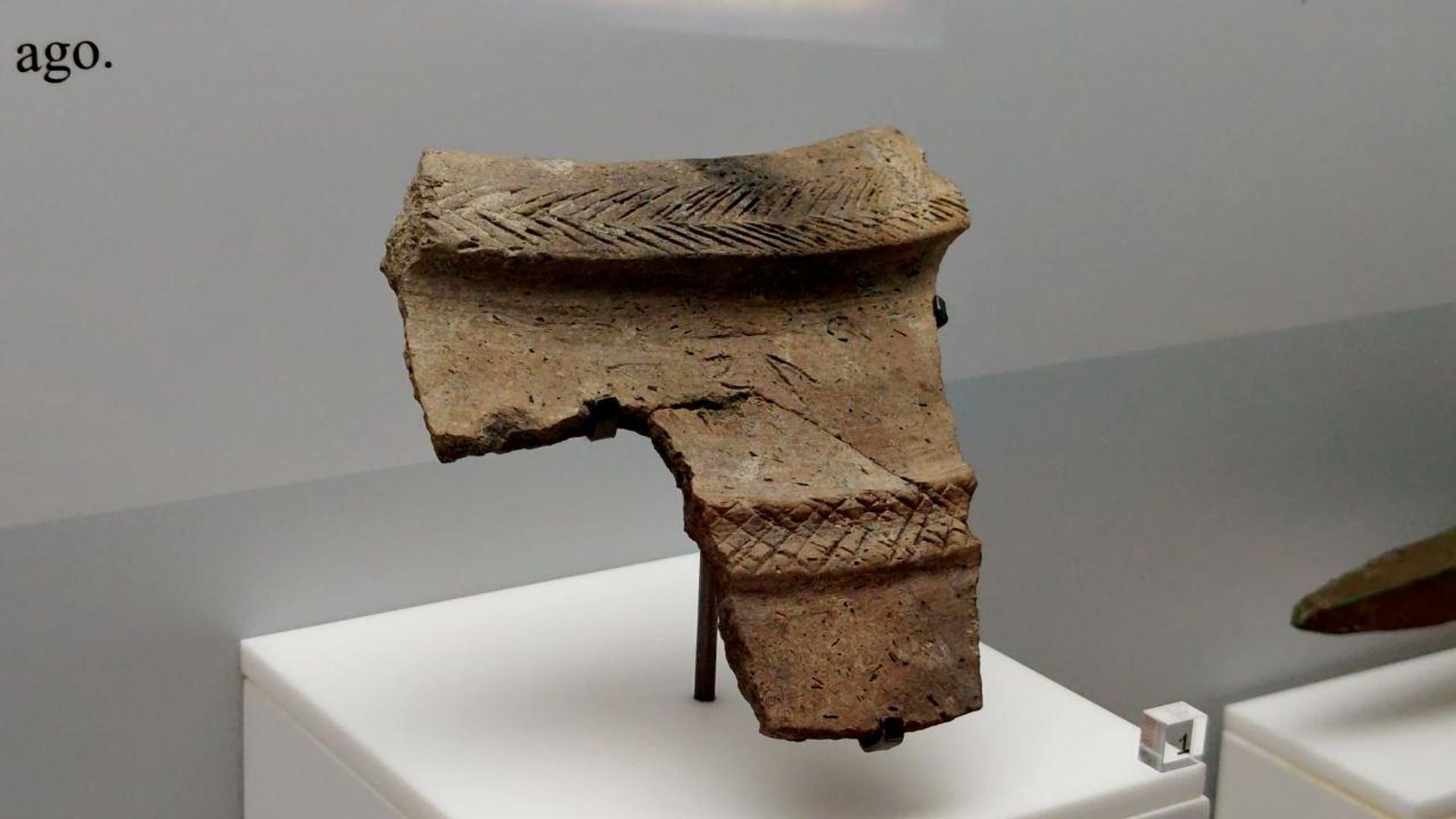 
متحف الشارقة للآثار يقدم رحلة عبر 210 آلاف عام من التاريخ
 - سبوتنيك عربي, 1920, 19.08.2026