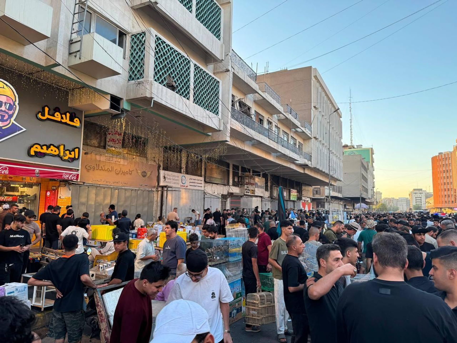 سوق الغزل في بغداد يستقطب العراقيين من مختلف المحافظات لاقتناء الحيوانات - سبوتنيك عربي, 1920, 21.08.2026