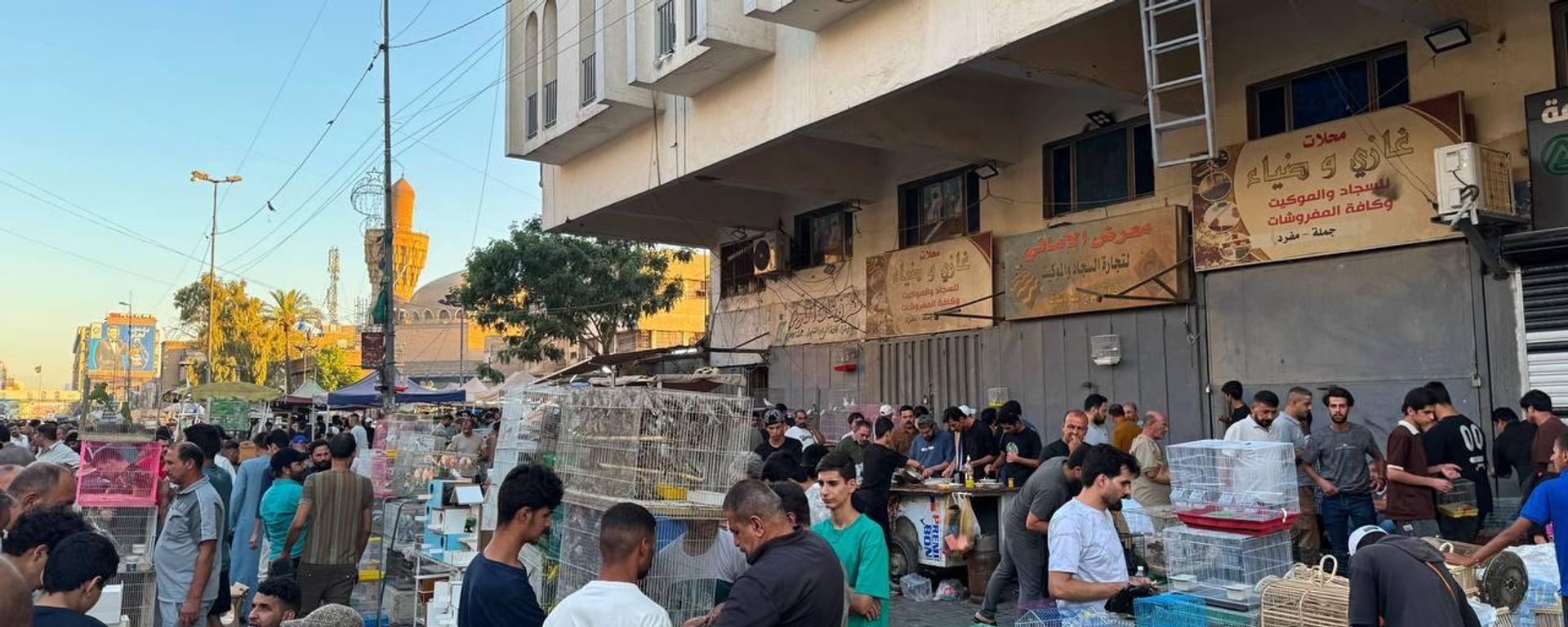 سوق الغزل في بغداد يستقطب العراقيين من مختلف المحافظات لاقتناء الحيوانات - سبوتنيك عربي, 1920, 21.08.2026