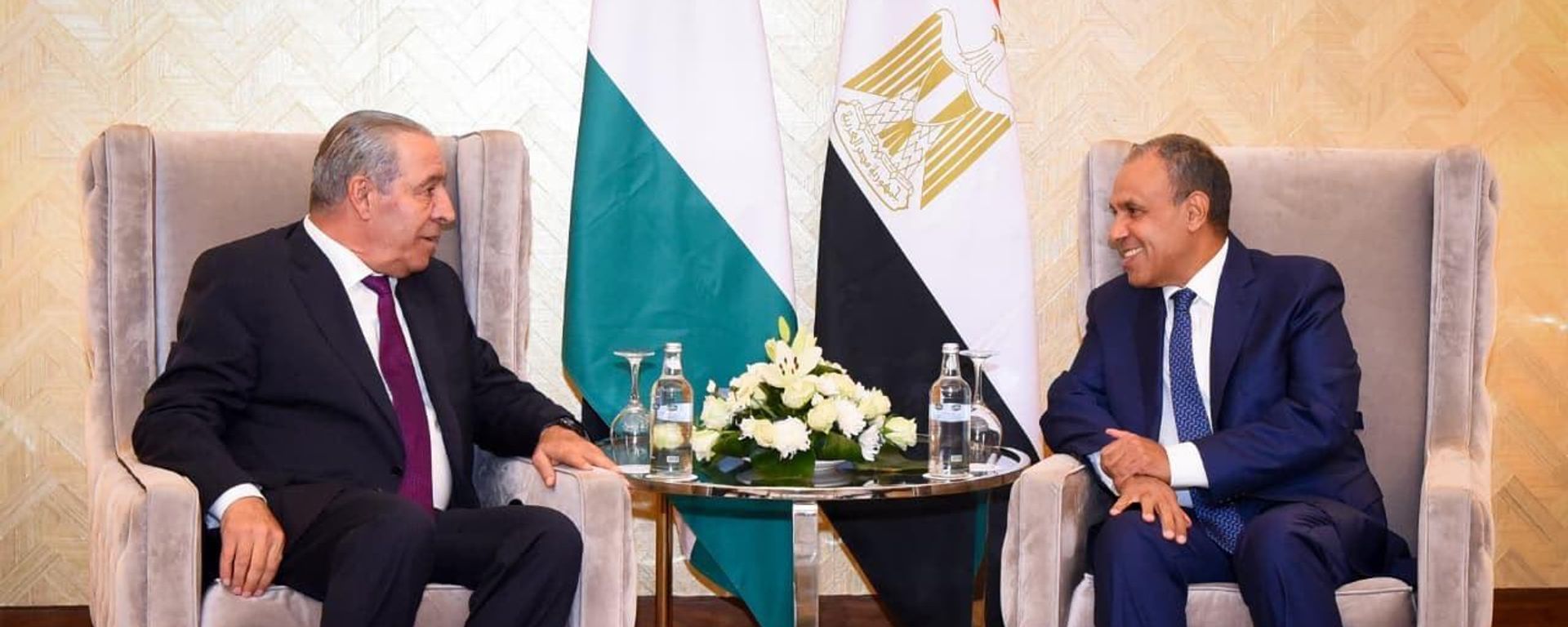  وزير الخارجية المصري بدر عبد العاطي يستقبل نائب رئيس دولة فلسطين حسين الشيخ، في مدينة العلمين - سبوتنيك عربي, 1920, 25.08.2026