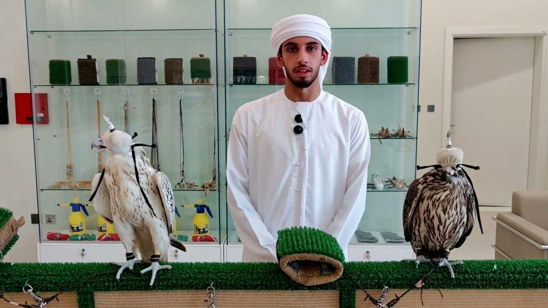 من الهواية إلى منصات التتويج.. رحلة الصقر في قلب التراث الإماراتي من الهواية إلى منصات التتويج.. رحلة الصقر في قلب التراث الإماراتي - سبوتنيك عربي, 1920, 27.08.2026