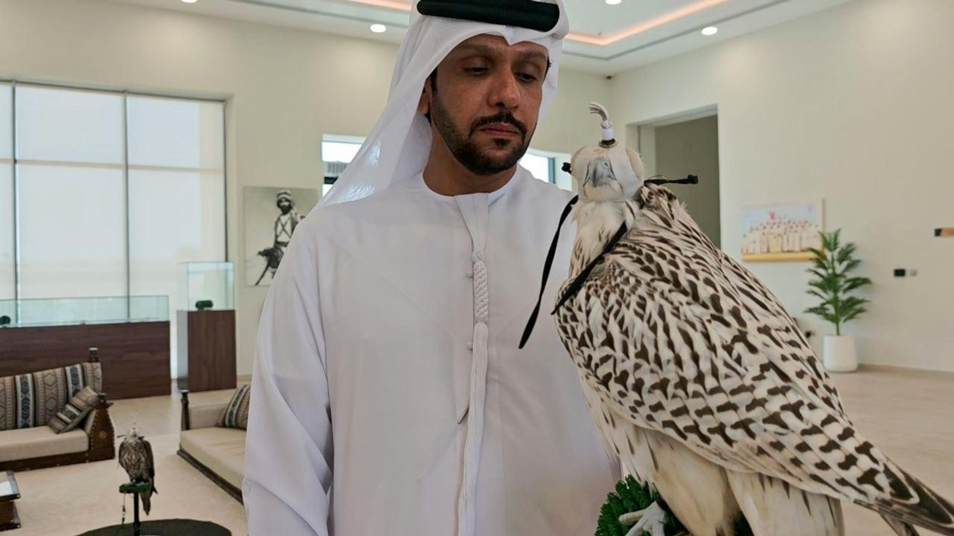 من الهواية إلى منصات التتويج.. رحلة الصقر في قلب التراث الإماراتي من الهواية إلى منصات التتويج.. رحلة الصقر في قلب التراث الإماراتي - سبوتنيك عربي, 1920, 27.08.2026