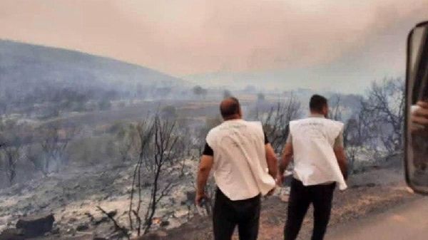  - سبوتنيك عربي