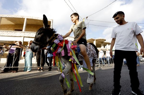 سباق للحمير في بلدة روم جنوبي لبنان سباق للحمير في بلدة روم جنوبي لبنان - سبوتنيك عربي