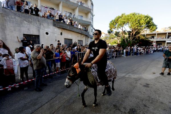 سباق للحمير في بلدة روم جنوبي لبنان سباق للحمير في بلدة روم جنوبي لبنان - سبوتنيك عربي
