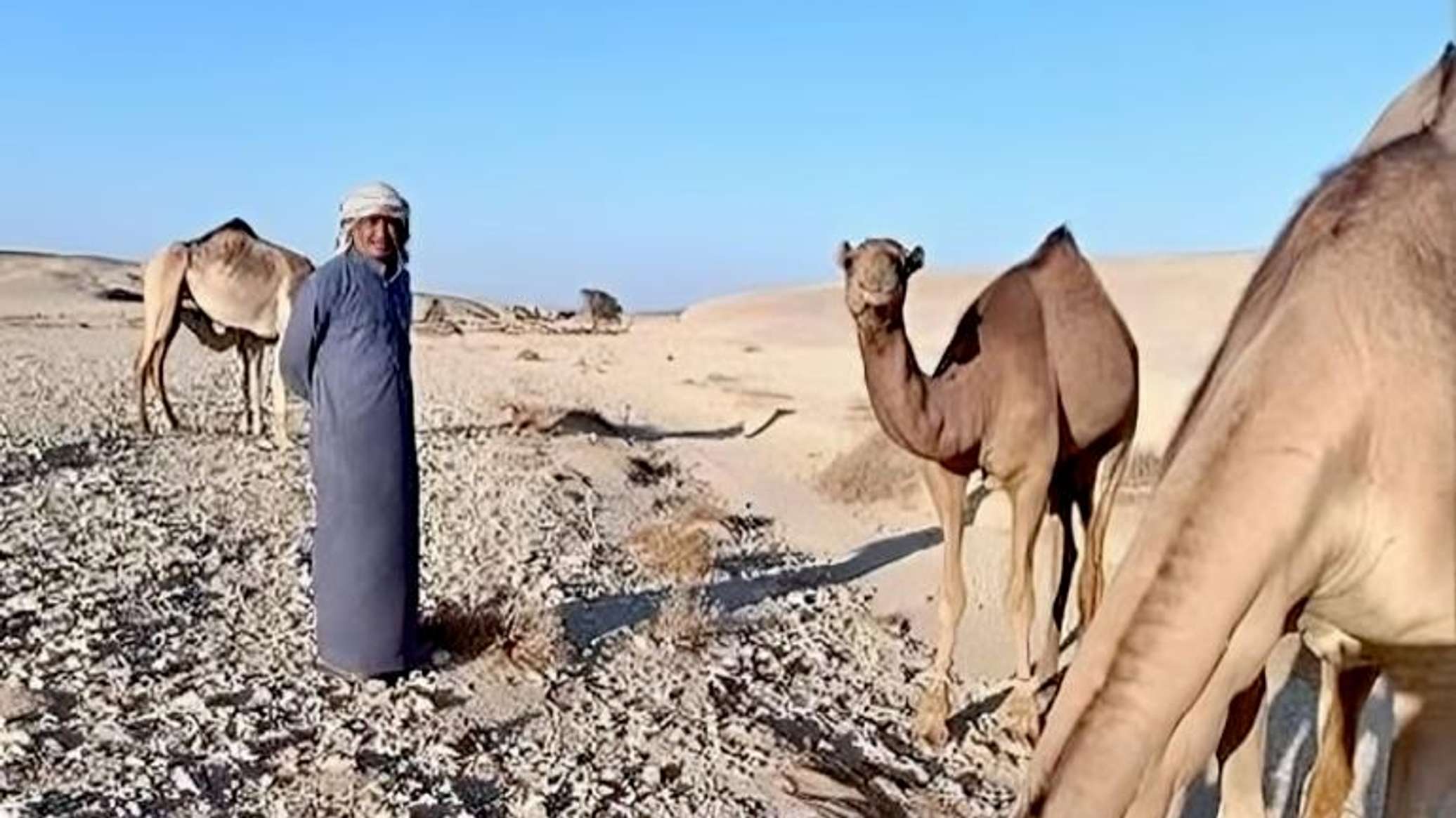 المطيري... حكاية صائد الغزلان في صعيد مصر