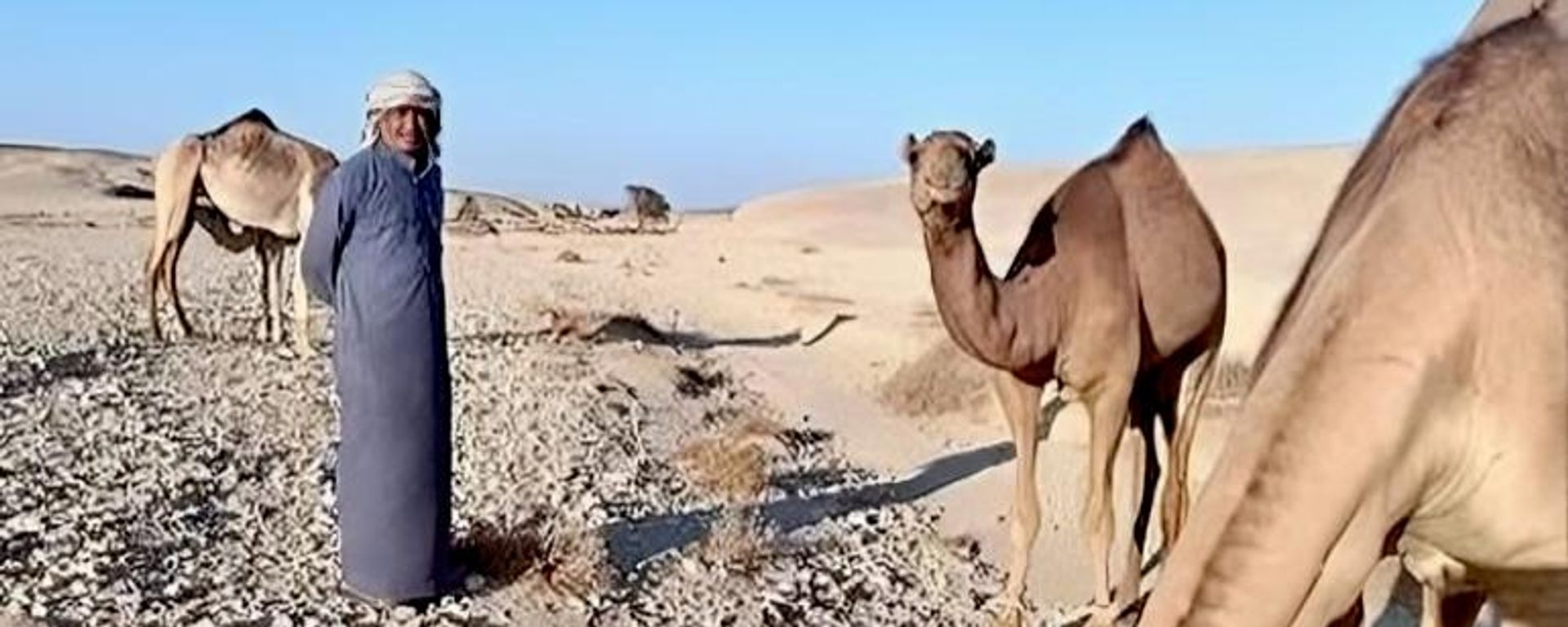 رحلة صيد في براري مصر ترصدها عدسة سبوتنيك لحظات تجمع بين عادات البدو والهروب من ضوضاء القرى والمدن - سبوتنيك عربي, 1920, 16.09.2026