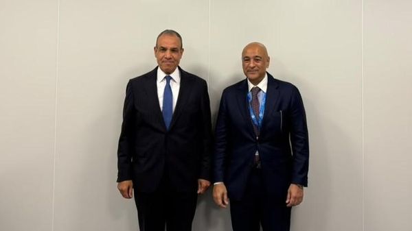 وزير الخارجية المصري، بدر عبد العاطي مع الأمين العام لمجلس التعاون لدول الخليج العربية جاسم محمد البديوي - سبوتنيك عربي