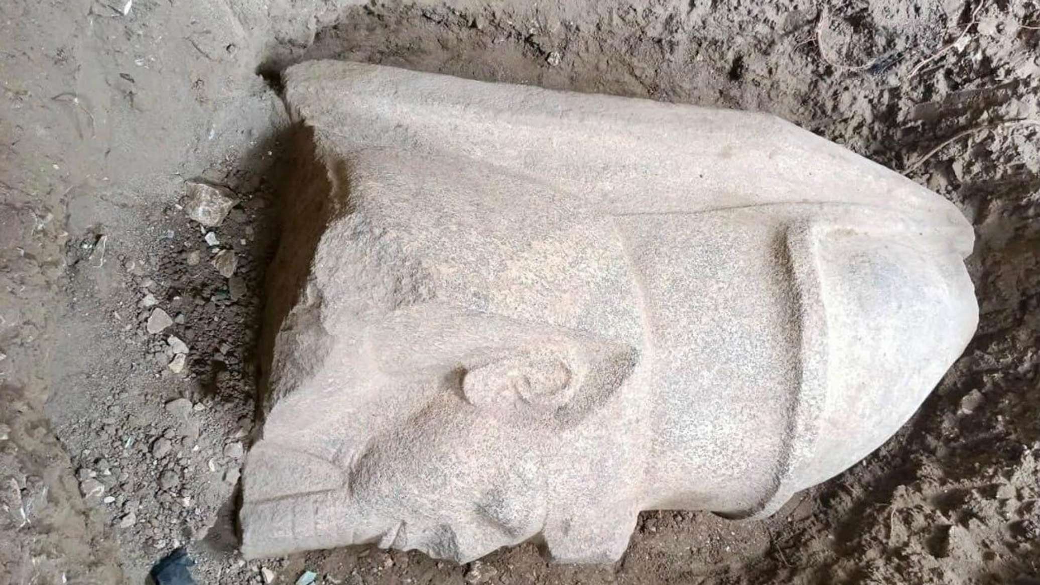 غطاء النمس ورأس ضخم... كيف قادت الصدفة البحتة لاكتشاف أثري كبير في مصر؟