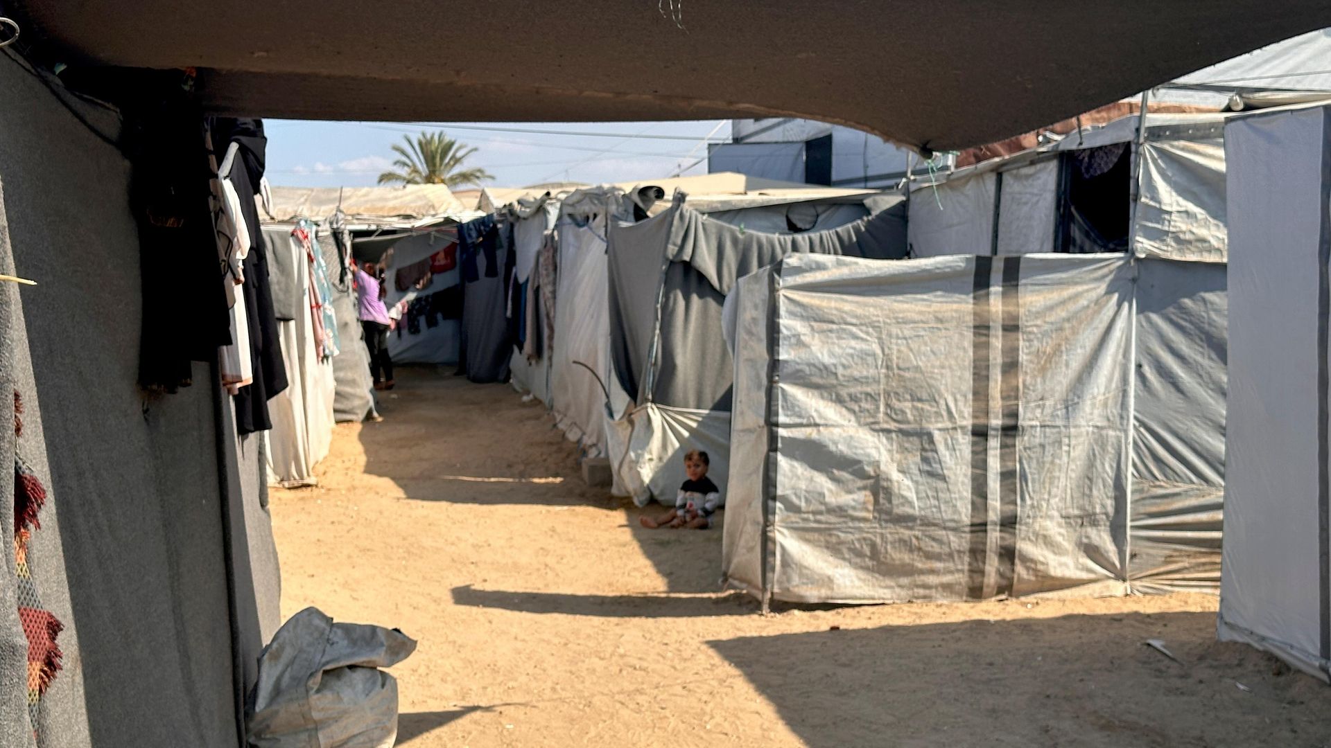 عربة حلاقة متنقلة تخفف معاناة النازحين في غزة عربة حلاقة متنقلة تخفف معاناة النازحين في غزة - سبوتنيك عربي, 1920, 26.10.2026
