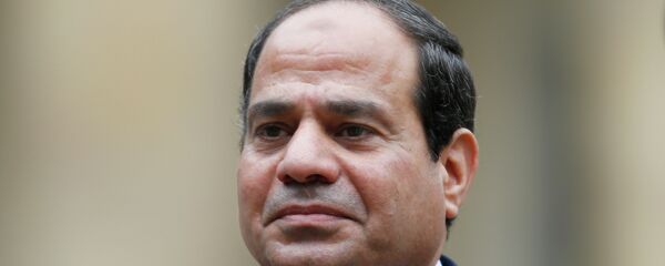 عبد الفتاح السيسي - سبوتنيك عربي